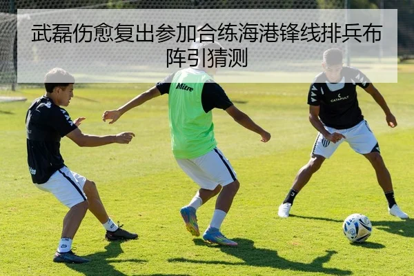 武磊伤愈复出参加合练海港锋线排兵布阵引猜测 - YIANGSPORTS